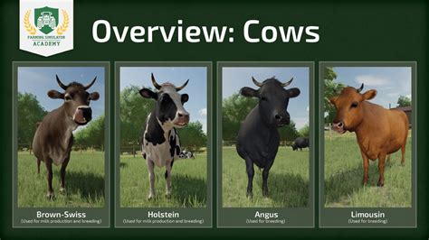 Cows fs22. Things To Know About Cows fs22. 